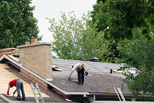 Best Roof Maintenance Services  in Bertsch Oceanview, CA