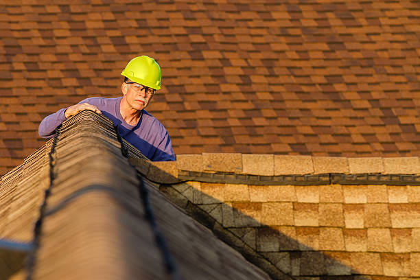 Best Roof Maintenance Services  in Bertsch Oceanview, CA
